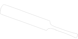 Cricket Bat