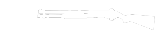 Chrome Shotgun